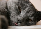 084-7mois_4021