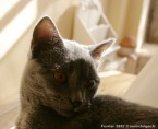 085-6mois_2867