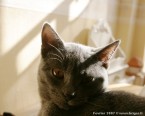 086-6mois_2868