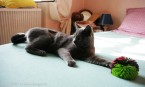 087-7mois_3199