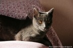 090-7mois_3196