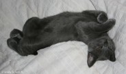 090-pose_0907