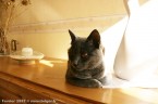091-6mois_3026