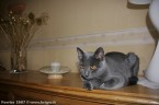 092-6mois_3030