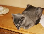 092-6mois_3034