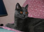 093-7mois_3203