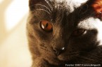 095-6mois_2869