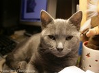 099-6mois_2617