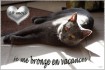 Les 10 mois de Brumi -  Juin 2007