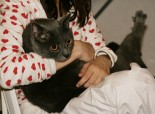 202-aramis_5278