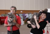 264-chartreux_5089