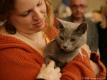 290-chartreux_5217