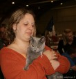 291-chartreux_5218