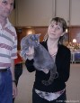 295-chartreux_5237