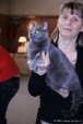 296-chartreux_5238