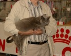 298-chartreux_5201
