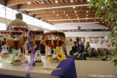 306-assemblee_5246