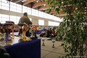 307-Mr-Simonet_5245