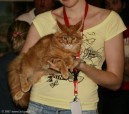 386-chat_5305