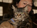 388-chat_5309