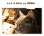 Les 4 mois de Brumi - Decembre 2006
