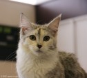 412-chat_5160