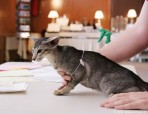 414-chat_5227