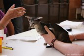 415-chat_5226