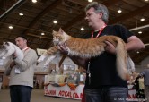 420-grand-chat_5144