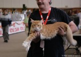 421-grand-chat_5136
