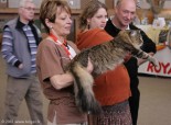 431-grand-chat_5137