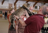 432-grand-chat_5142
