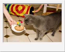 IMG_0784_1