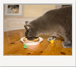 IMG_0799_1