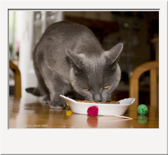IMG_0801_1