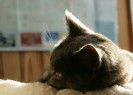 IMG_2028