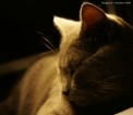 IMG_2051
