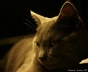 IMG_2052