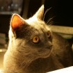 IMG_2064