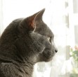 IMG_3492