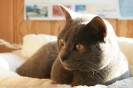IMG_3539