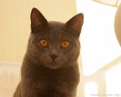 IMG_3558