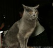 IMG_3703