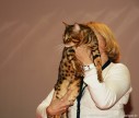 IMG_3929