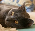 IMG_3958