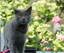 IMG_6244