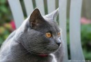 IMG_7442