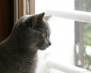 IMG_7451