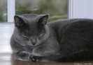 IMG_7619