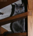 IMG_7631